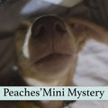 Peaches' Mini Mystery Bundle