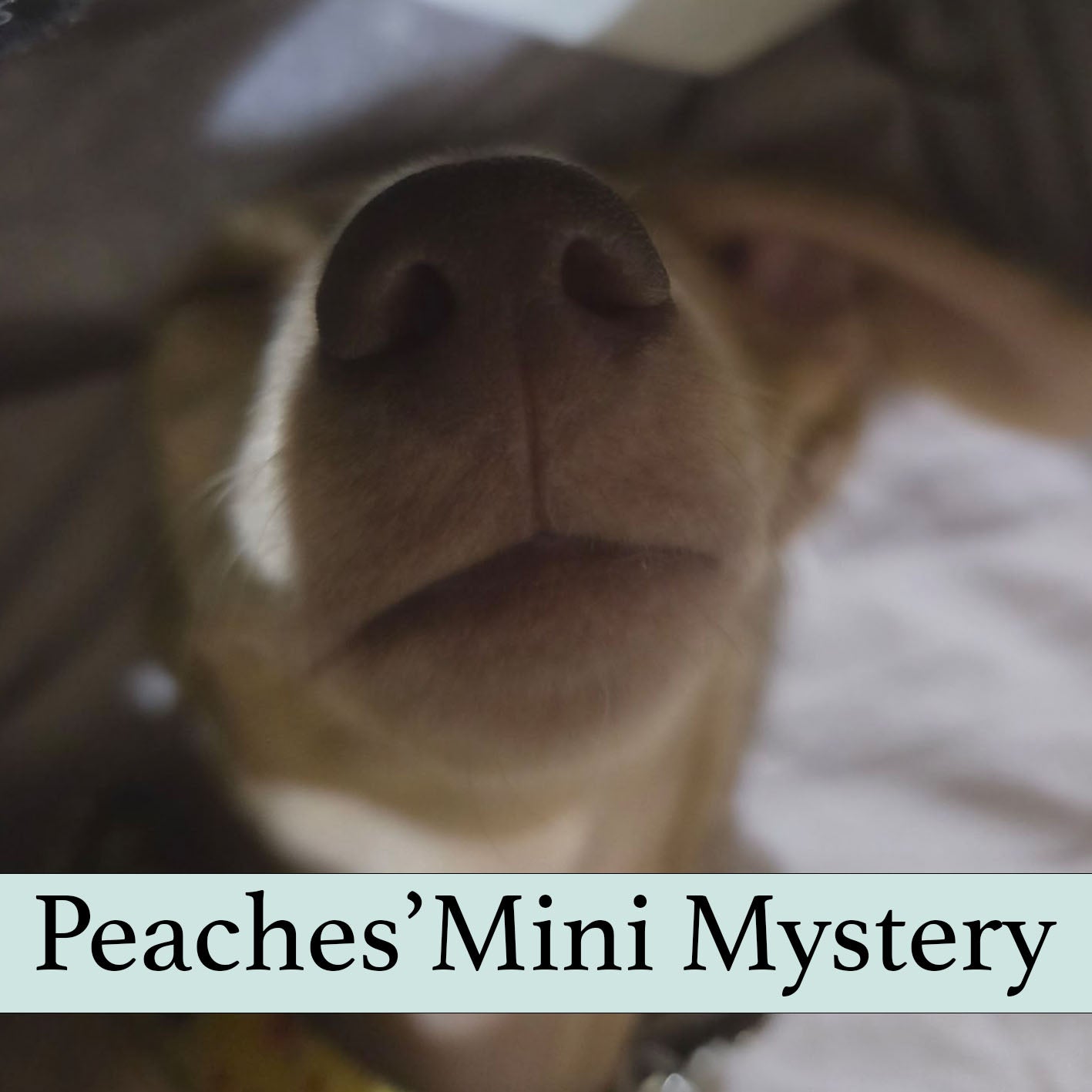 Peaches' Mini Mystery Bundle