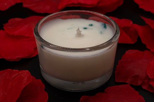 Costal Sage Deluxe Tea Light Candle (Pack of 4)
