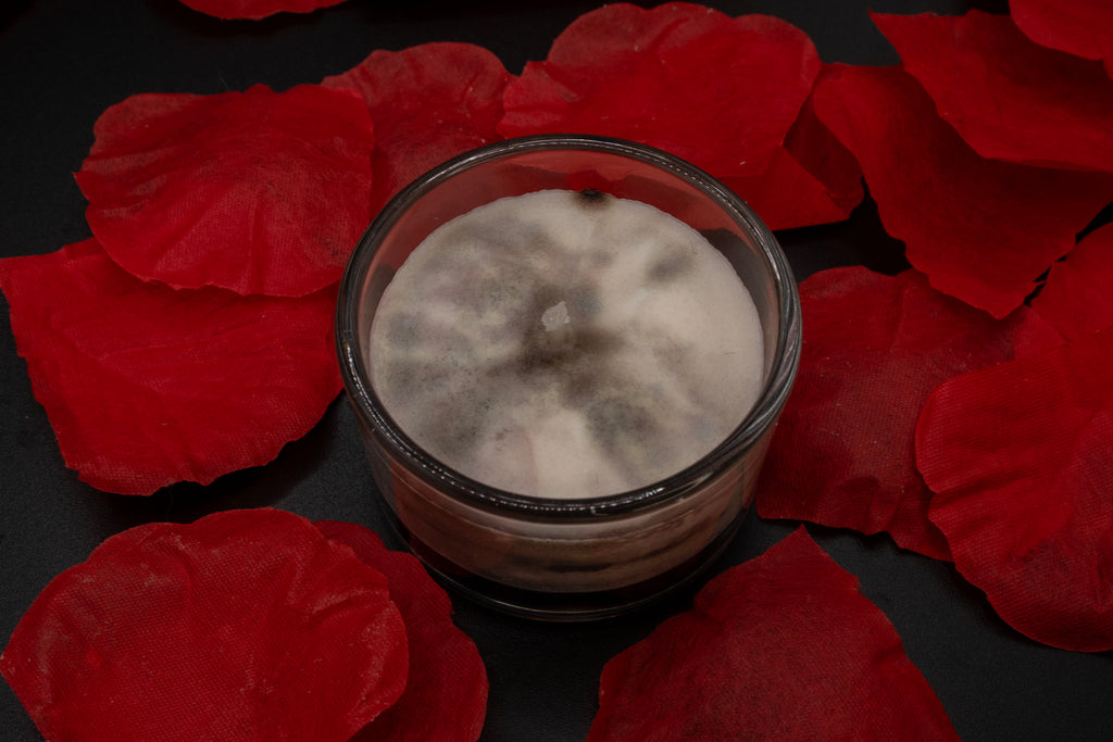 Vanilla Patchouli Deluxe Tea Lights (Pack of 4)